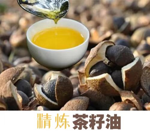 茶籽油精煉設(shè)備